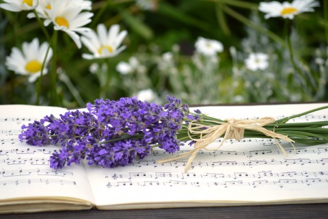 Lente Concert