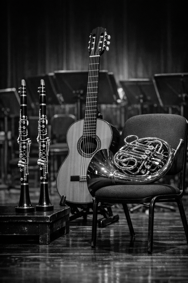 Openbare Proef Afstudeerproject DSO- Ensemble