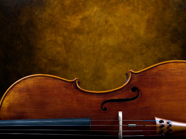 Openbare proef cello, GM cello en contrabas klassiek