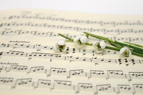 Openbare Proef Piano 4.3
