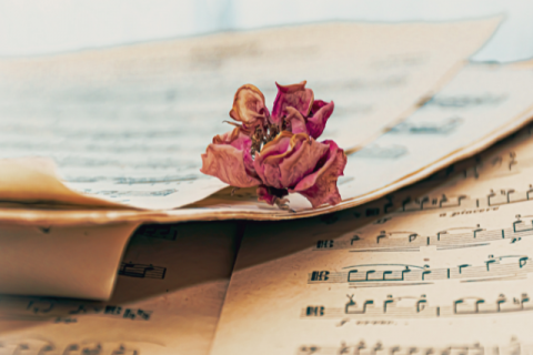 Openbare proef viool, cello en zang